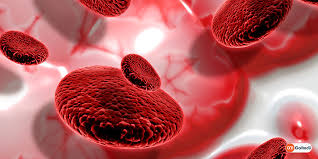 WHO- Thalassaemia